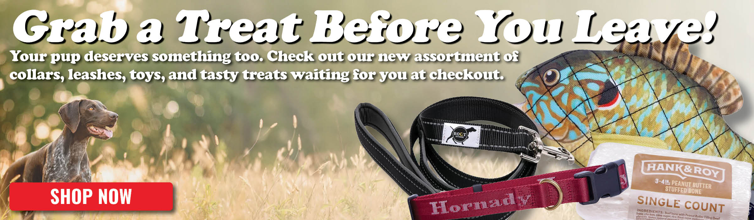 Dog Accessories Promo